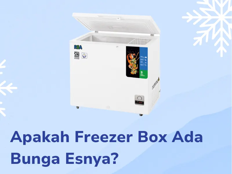 Apakah Freezer Box Ada Bunga Es Nya