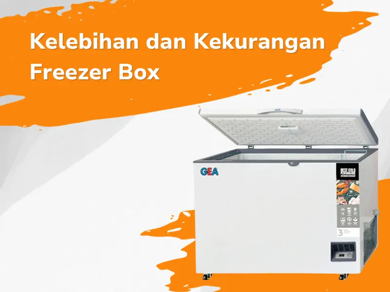 Kelebihan Dan Kekurangan Freezer Box