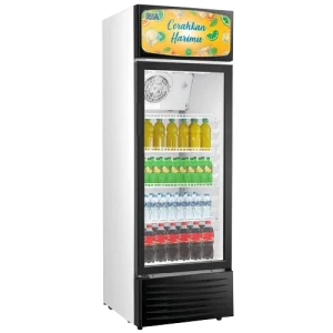 Showcase Chiller RSA AGATE-320C 1 Pintu 328 Liter