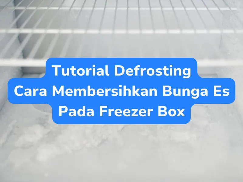 Tutorial Defrosting Bunga Es Freezer Box