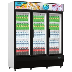 Showcase Chiller RSA TOPAZ-1100
