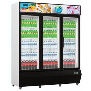 Showcase Chiller RSA TOPAZ-1100