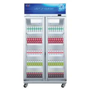 Gea Showcase Chiller 2 Pintu