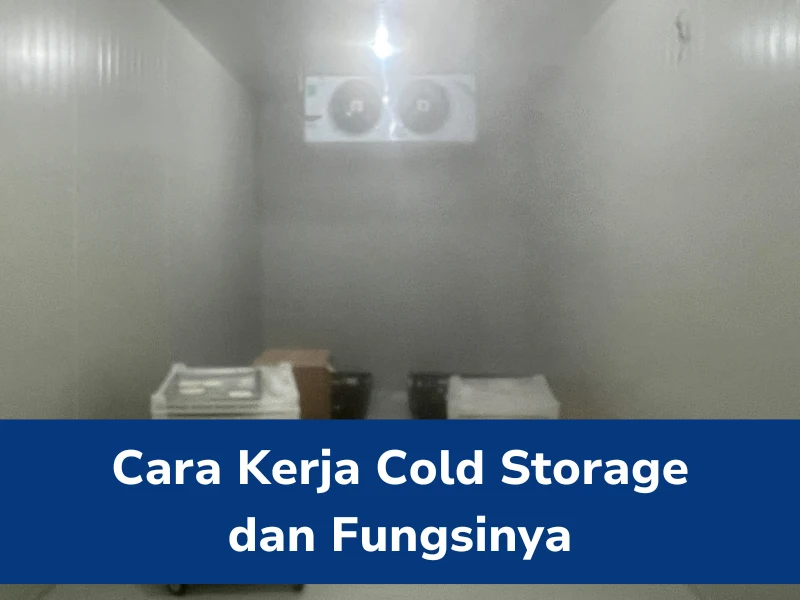 Cara Kerja Cold Storage Dan Fungsinya